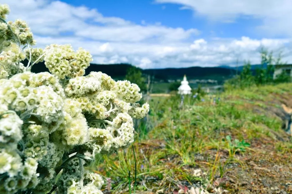 20210217/8112f14929ebd37625aa81b9900afae3.jpg 20210217/8112f14929ebd37625aa81b9900afae3.jpg