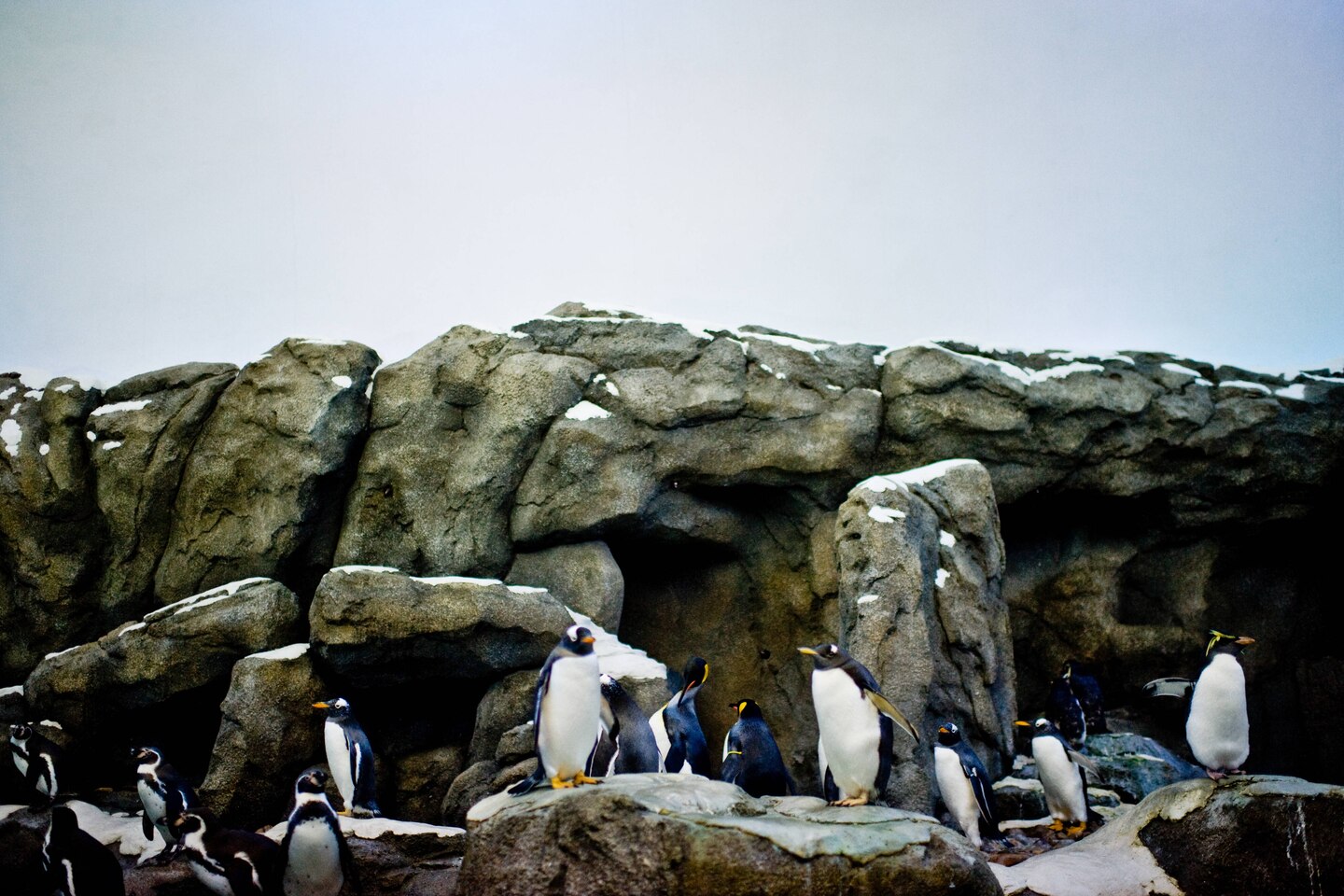 20210913/7cfaa7f9b4ef55f712afae07642e593a.jpg 20210913/7cfaa7f9b4ef55f712afae07642e593a.jpg