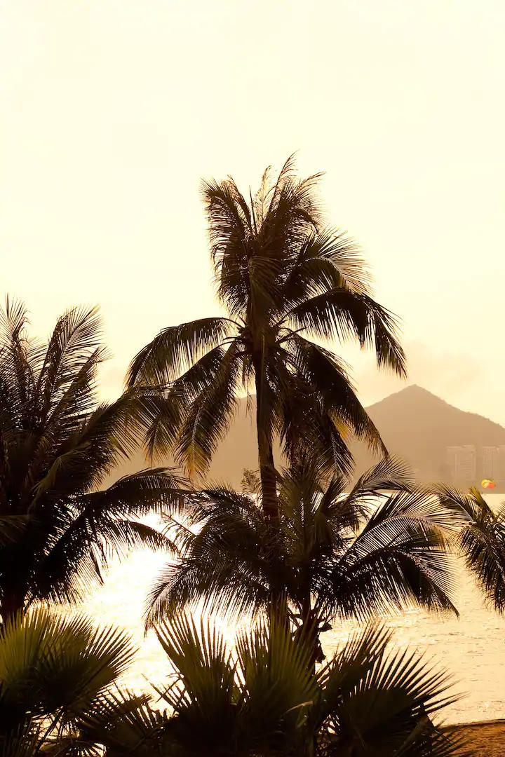 20211002/2a1c12337f999cba87b8ce855c30ff5c.jpg 20211002/2a1c12337f999cba87b8ce855c30ff5c.jpg