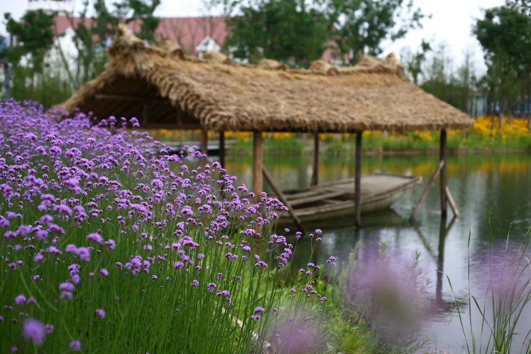 20230512/298c7f3143c6d81c865c6229cce342a2.jpg 20230512/298c7f3143c6d81c865c6229cce342a2.jpg