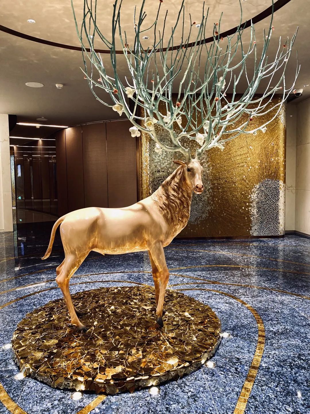 20230512/308a78b4151c378b43fd424550a5fca1.jpg 20230512/308a78b4151c378b43fd424550a5fca1.jpg