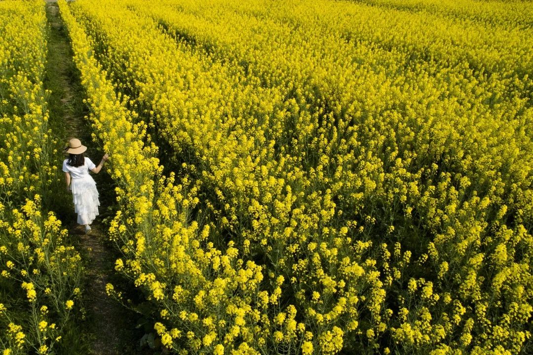 20230512/b3c45fc5feafa120f87ebd3db7985f44.jpg 20230512/b3c45fc5feafa120f87ebd3db7985f44.jpg