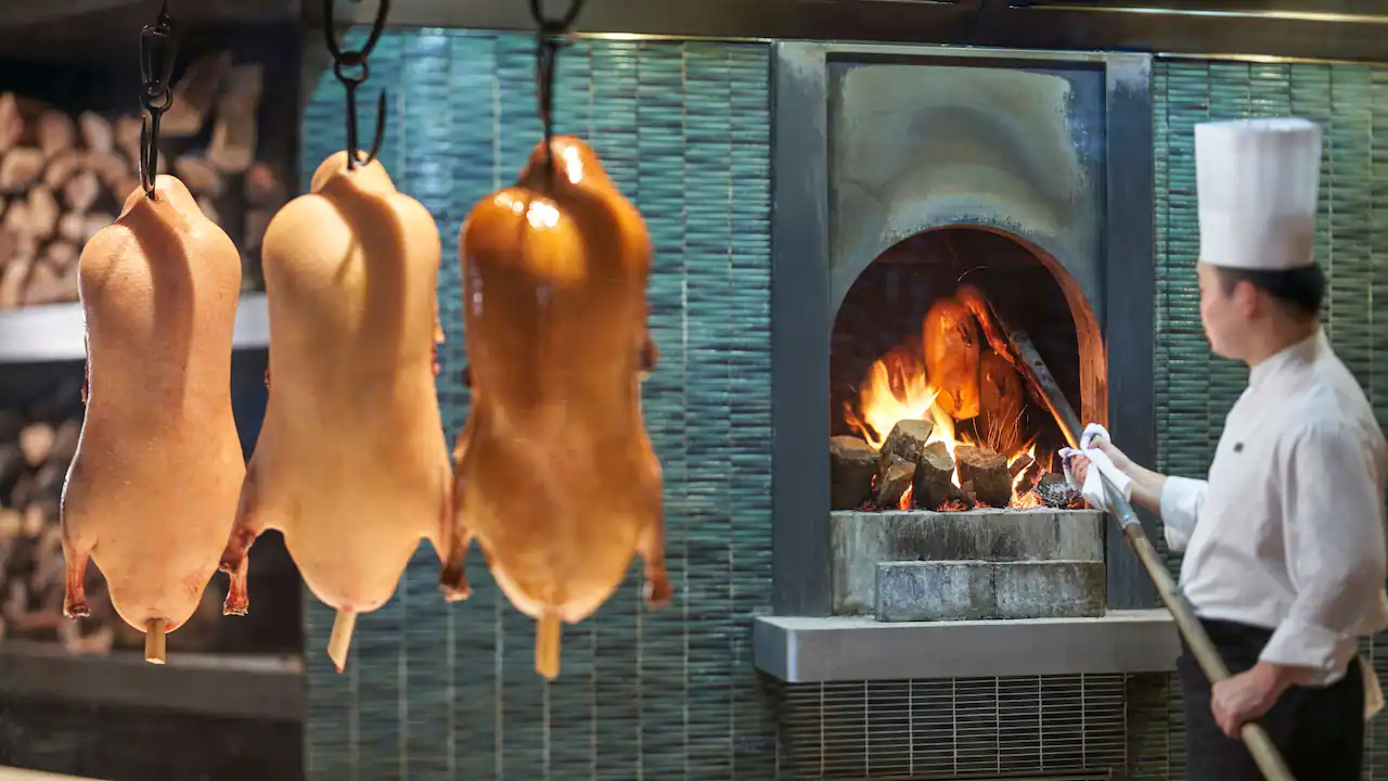 20230612/10cb5f79d5f53291f1586ef3cde14a66.png 20230612/10cb5f79d5f53291f1586ef3cde14a66.png